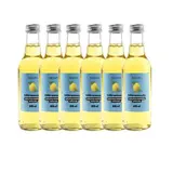 Lot de 6 x Citronnade infusion menthe poivrée, Frichti (25 cl)