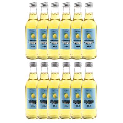 Lot de 12 x Citronnade infusion menthe poivrée, Frichti (25 cl)