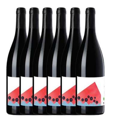 Guru 2022, Vin de France BIO, Banjo Vino (75 cl, caisse de 6)