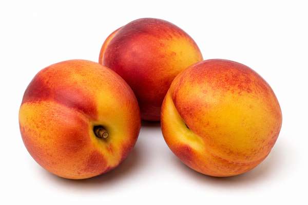 Lot de 3 nectarines jaunes (calibre moyen), France