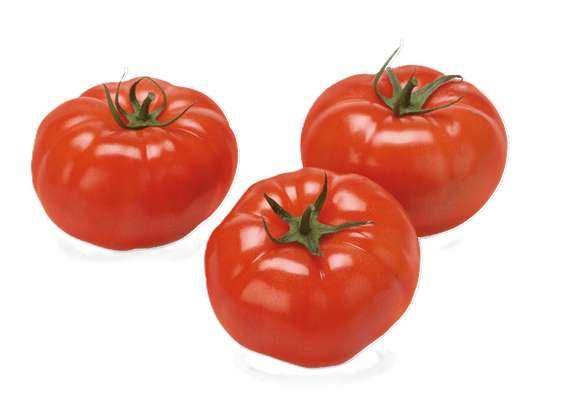 Lot de 3 tomates rondes à farcir (calibre moyen), Belgique