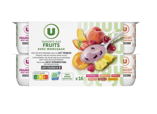 Yaourt aux morceaux de fruits panachés, U (16 x 125 g)