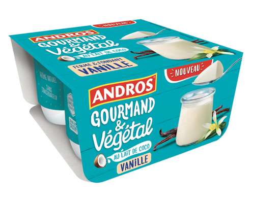 Ferme et fondant végétal vanille à base de lait de coco, Andros Gourmand et Végétal (4 x 100 g)
