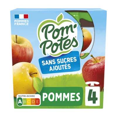 Gourdes pomme nature sans sucres ajoutés, Pom'Potes (4 x 90 g)