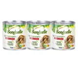 Champignons de Paris émincés sans sulfites, Bonduelle (3 x 45 g)
