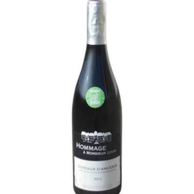 Vin rouge AOC bio Côteaux d'Ancenis Gamay Hommage à M.Louis BIO, (75 cl)