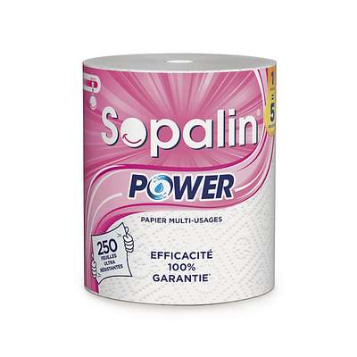 Essuie-tout Power, Sopalin