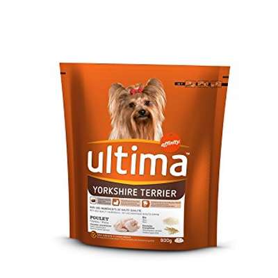 Croquettes pour chien spécial petit Yorkshire, Ultima (800 g)
