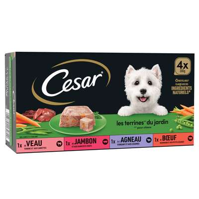 Pâtée pour chien aux légumes, César (4 x 300 g)