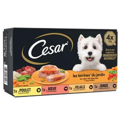 Terrines pour chien poulet boeuf volaille et dinde, Cesar (4 x 150 g)