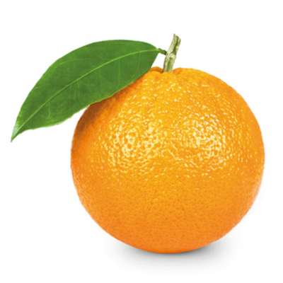 Orange de table "Valencia" BIO (calibre moyen), Espagne
