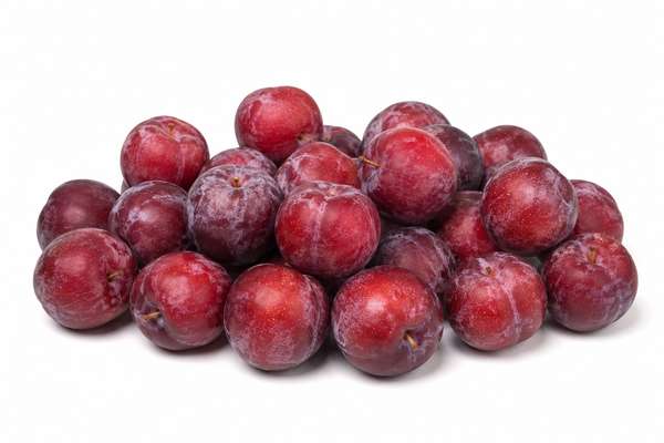 Barquette de prunes rouges BIO (500 g), Espagne
