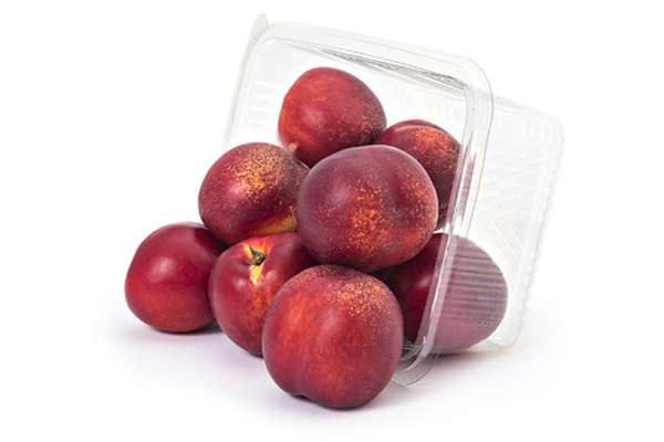 Barquette de nectarines jaunes "à mûrir" BIO (500 g), Espagne