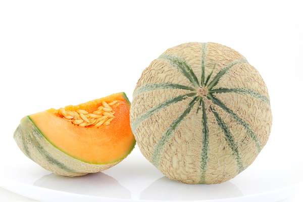 Melon charentais BIO du Sud-Ouest - direct producteur (petit calibre), France