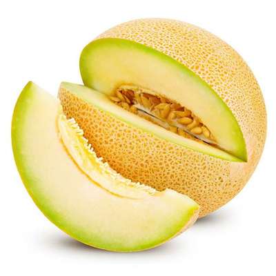 Melon Galia BIO (gros calibre), Espagne