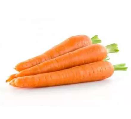 Sachet de carottes lavées BIO des Landes - direct producteur (1 kg), France
