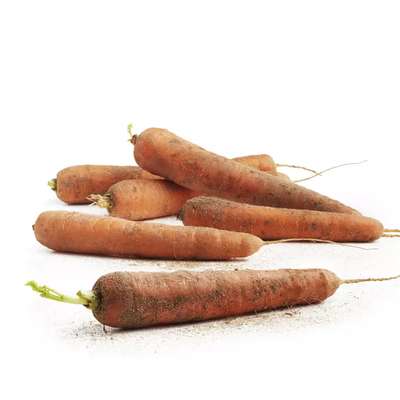 Carottes non lavées BIO du Finistère Nord - Direct producteur (barquette de 1 kg), France