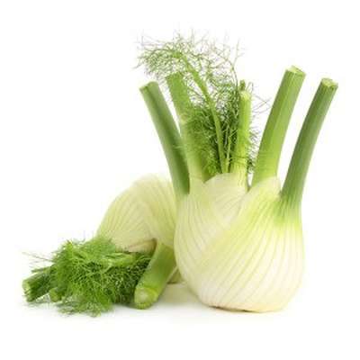 Fenouil BIO du Finistère nord - direct producteur (100 à 300 g) (petit calibre), France