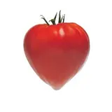 Barquette de tomates type "cœur de bœuf" BIO du Finistère Nord - Direct producteur (barquette 500 g), France