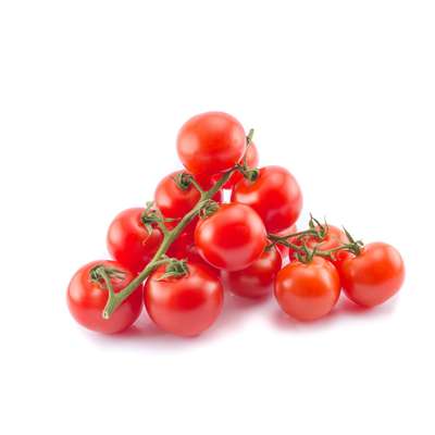Barquette de tomates cocktail BIO de Bretagne - direct producteur (500 g), France