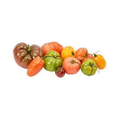Barquette de tomates anciennes panachées BIO du Finistère Nord - Direct producteur (750 g), France