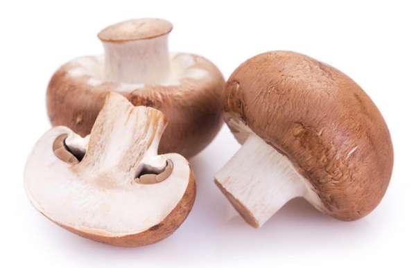 Champignon de Paris blond BIO (barquette 200 g), France