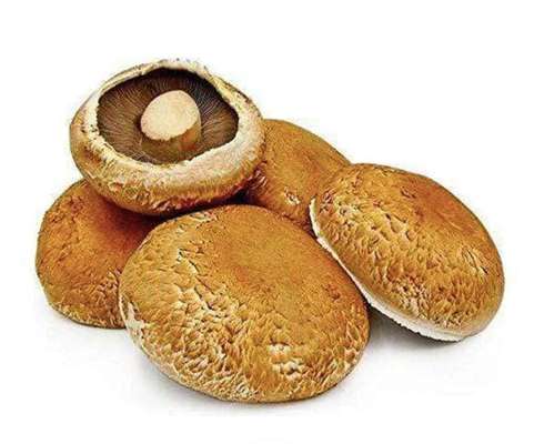 Champignon de Paris Portobello BIO (barquette de 250 g), France