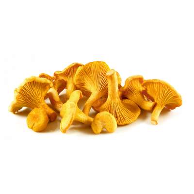 Girolles sauvages récoltés main en sous-bois (200 g), Pologne