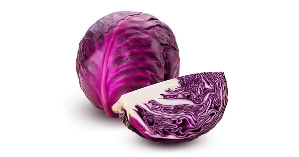Chou rouge BIO du Finistère Nord - Direct producteur (0.8 à 1 Kg) (calibre moyen), France