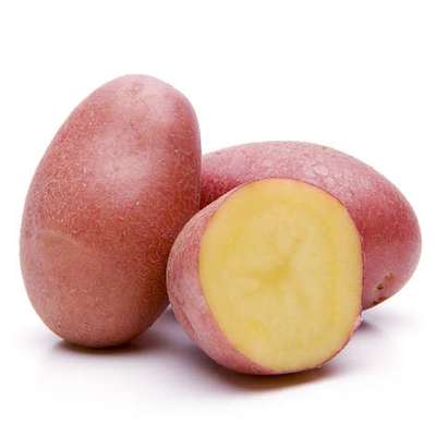 Filet de pommes de terre rouge "Rubis" BIO du Finistère nord (750 g), France