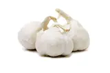 Filet de 3 têtes d'ail blanc/violet BIO (calibre moyen), Espagne