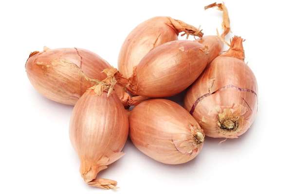 Echalote demi-sèche BIO du Finistère Nord - Direct producteur (filet de 250 g), France
