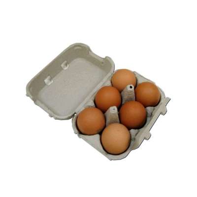 Oeufs frais BIO, Bonval (x 6)