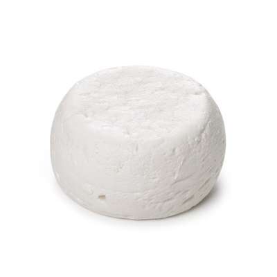 Petit chèvre BIO 15 % MG/PF (100 g)
