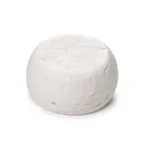 Petit chèvre BIO 15 % MG/PF (100 g)