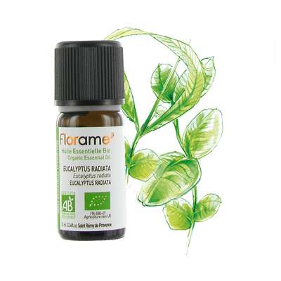 Huile essentielle d'eucalyptus radiata BIO, Florame (10 ml)