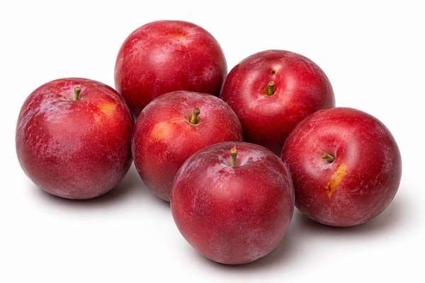 Prunes rouges "Vergers de Cancel" (pack de 300 g - 4 à 6 fruits) (calibre moyen), France