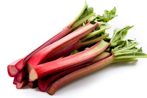 Rhubarbe BIO (pack de 300g soit 3 à 6 tiges), France