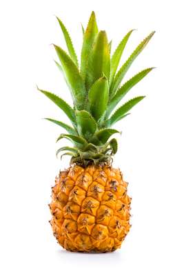 Ananas Victoria de La Réunion "cueilli à maturité" avion (calibre moyen), France