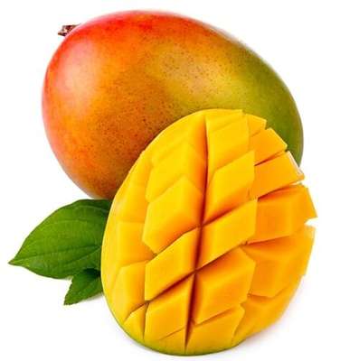 Mangue Kent bateau "à mûrir" (petit calibre), Sénégal