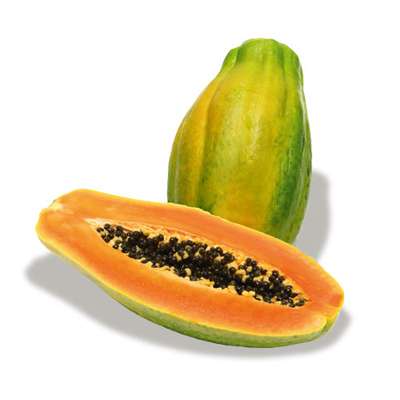 Papaye formose (gros calibre), Brésil