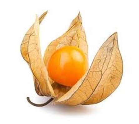 Physalis (environ 100 g), Colombie