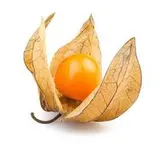 Physalis (environ 100 g), Colombie