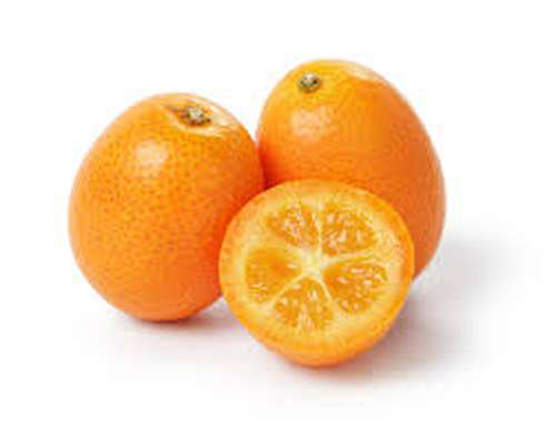 Kumquat (pack de 150 g), Afrique du Sud
