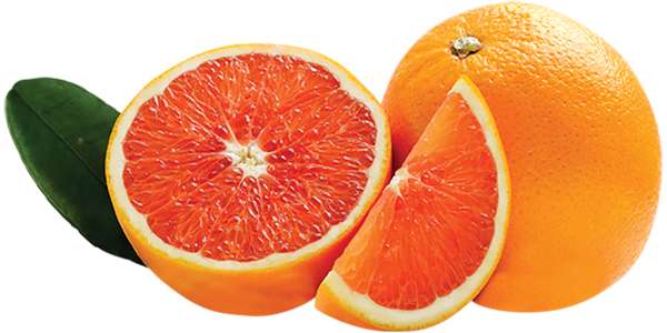 Orange sanguine "Red Navel" (calibre moyen), Afrique du Sud