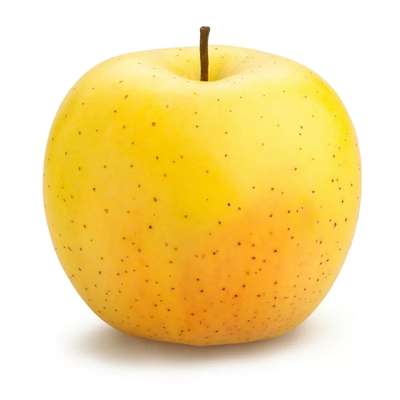 Pomme Golden HVE (calibre moyen), France