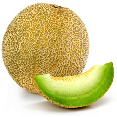 Melon galia (calibre moyen), Espagne