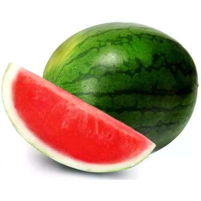 Mini pastèque tigrée BIO (800 à 1.2 kg) (calibre moyen), Espagne