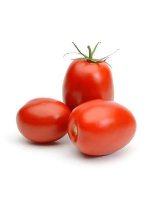 Tomates allongées type "Roma" de Bretagne - direct producteur, France