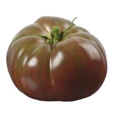 Tomates côtelées noires de Bretagne - Direct producteur (pack de 1 Kg), France